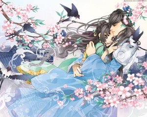 苹果草莓绿巨人91
